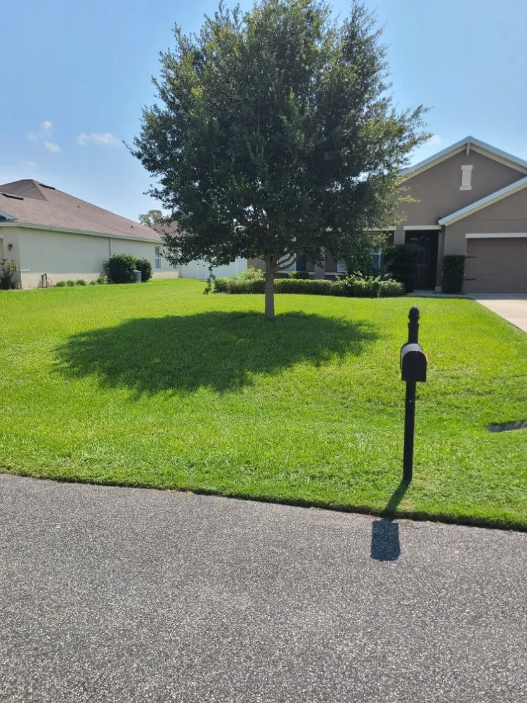 Expert landscape design experts serving Ocala, FL - Integrity Lawns