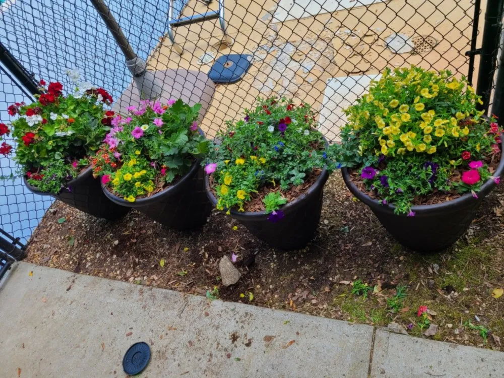 Reliable yard maintenance in Ocala, FL - Integrity Lawns