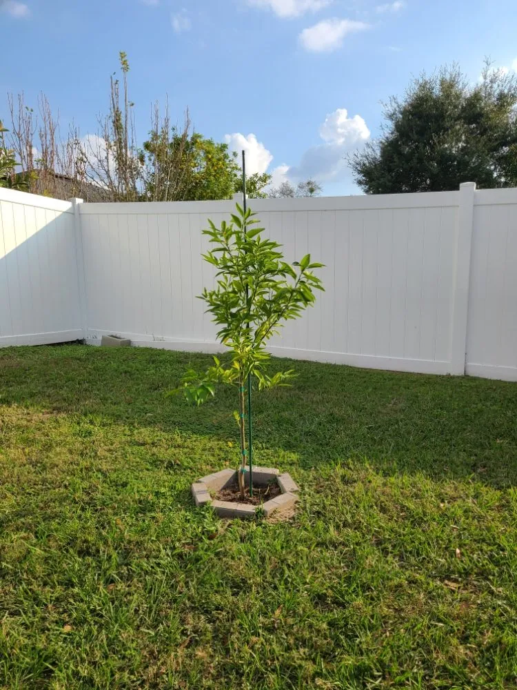 Reliable lawn mowing service in Ocala, FL by Integrity Lawns