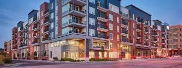 Trusted yard cleanup service experts serving Kings Mountain, NC - Integrity Management Systems