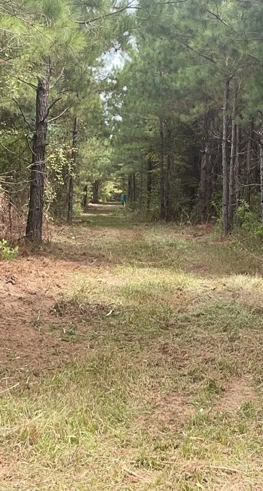 Expert outdoor landscaping experts serving Grayson, LA - Integrity Mulching & Land Services