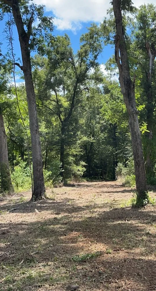 Local residential landscaping in Grayson, LA - Integrity Mulching & Land Services