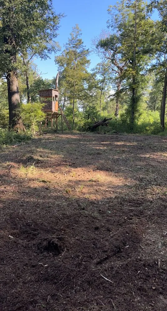 Professional landscape installation in Grayson, LA - Integrity Mulching & Land Services
