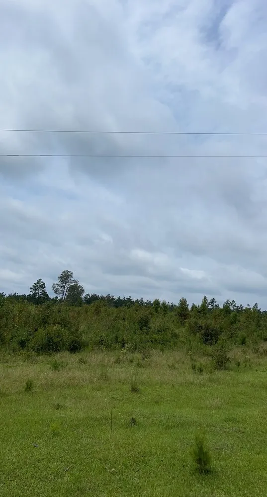 Trusted landscape installation in Grayson, LA - Integrity Mulching & Land Services