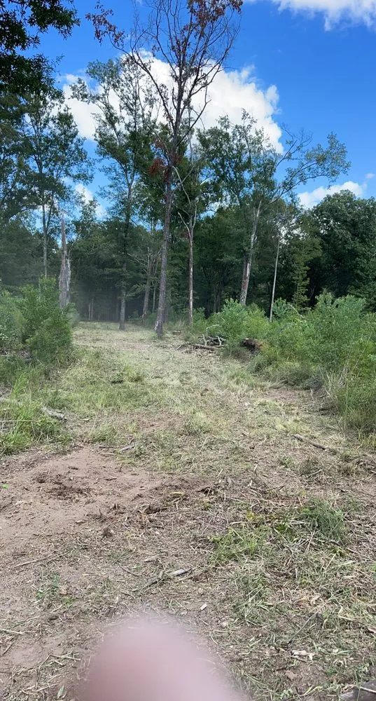 Top-rated landscape installation with custom design across Grayson, LA - Integrity Mulching & Land Services