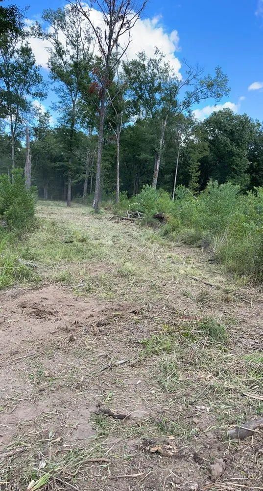 Expert landscaping services for year-round maintenance across Grayson, LA - Integrity Mulching & Land Services