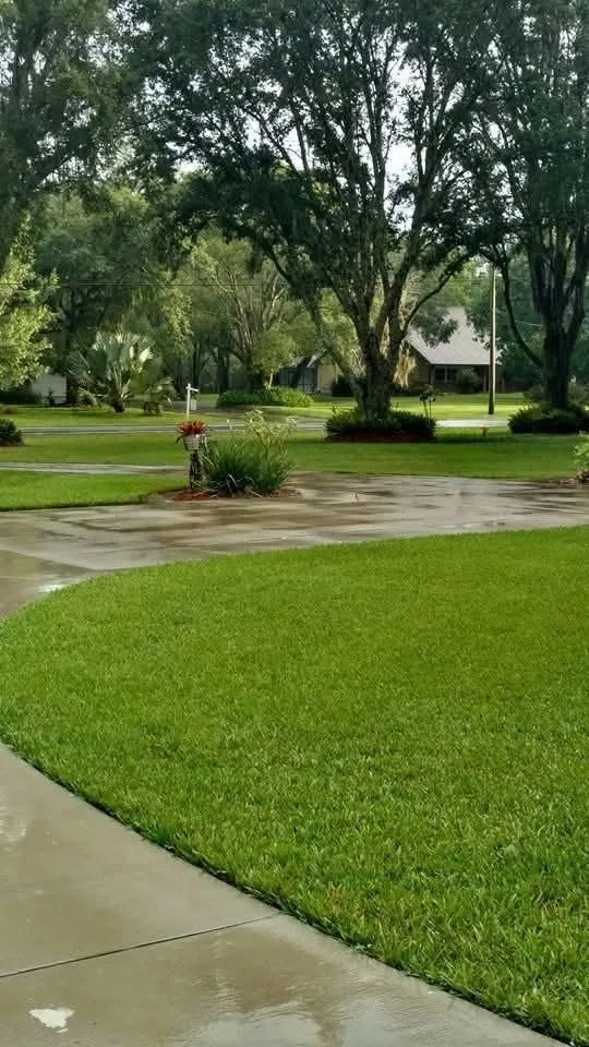 Custom landscape installation with custom design in New Port Richey, FL by Integrity Property Solutions and Management