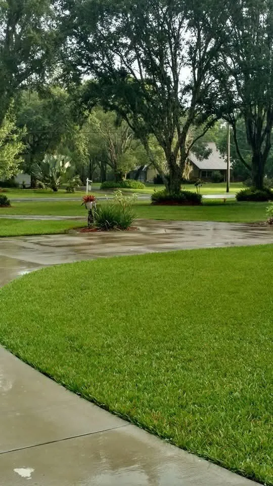 Affordable lawn care service in New Port Richey, FL by Integrity Property Solutions and Management