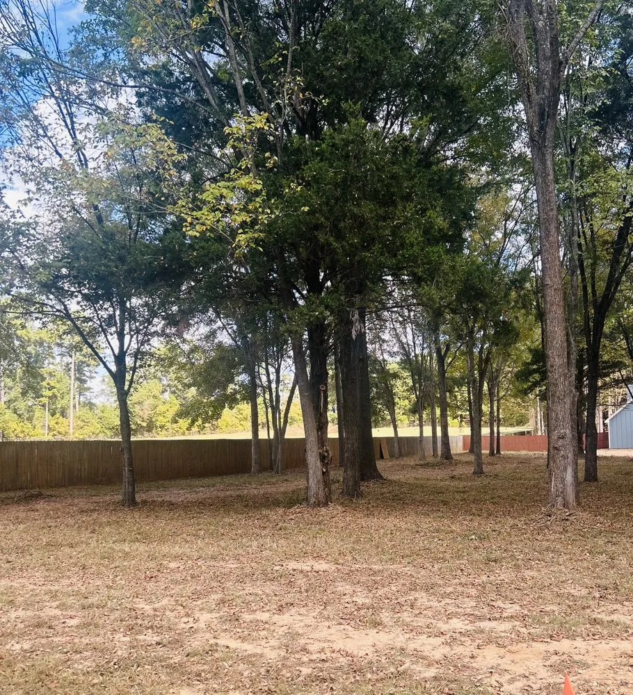 Expert lawn care service in Tyler, TX by Integrity Tree Care & Landscaping