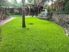 Reliable lawn mowing service in Tyler, TX by Integrity Tree Care & Landscaping