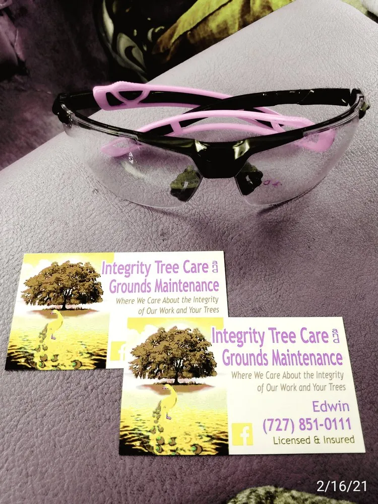 Reliable yard cleanup service in Clearwater, FL by Integrity Tree Care