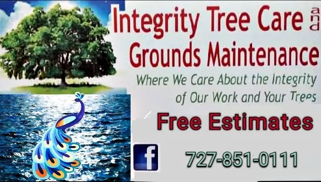 Trusted landscape design for residential properties in Clearwater, FL by Integrity Tree Care