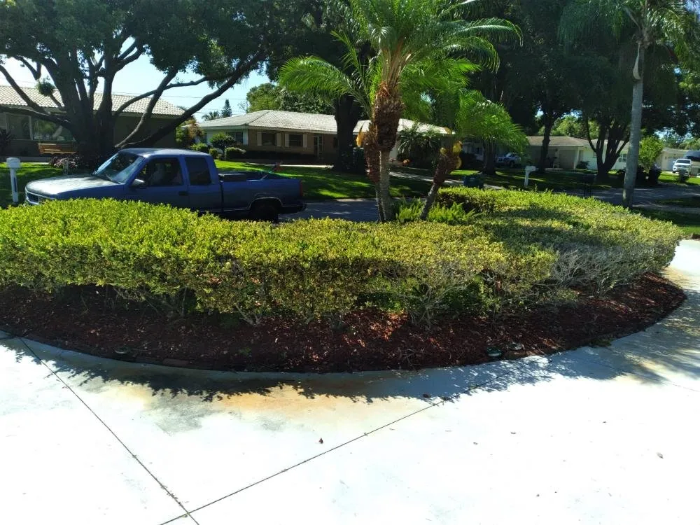Trusted landscape design for beautiful yards across Clearwater, FL - Integrity Tree Care
