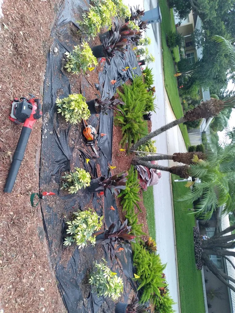 Trusted landscape installation in Clearwater, FL - Integrity Tree Care