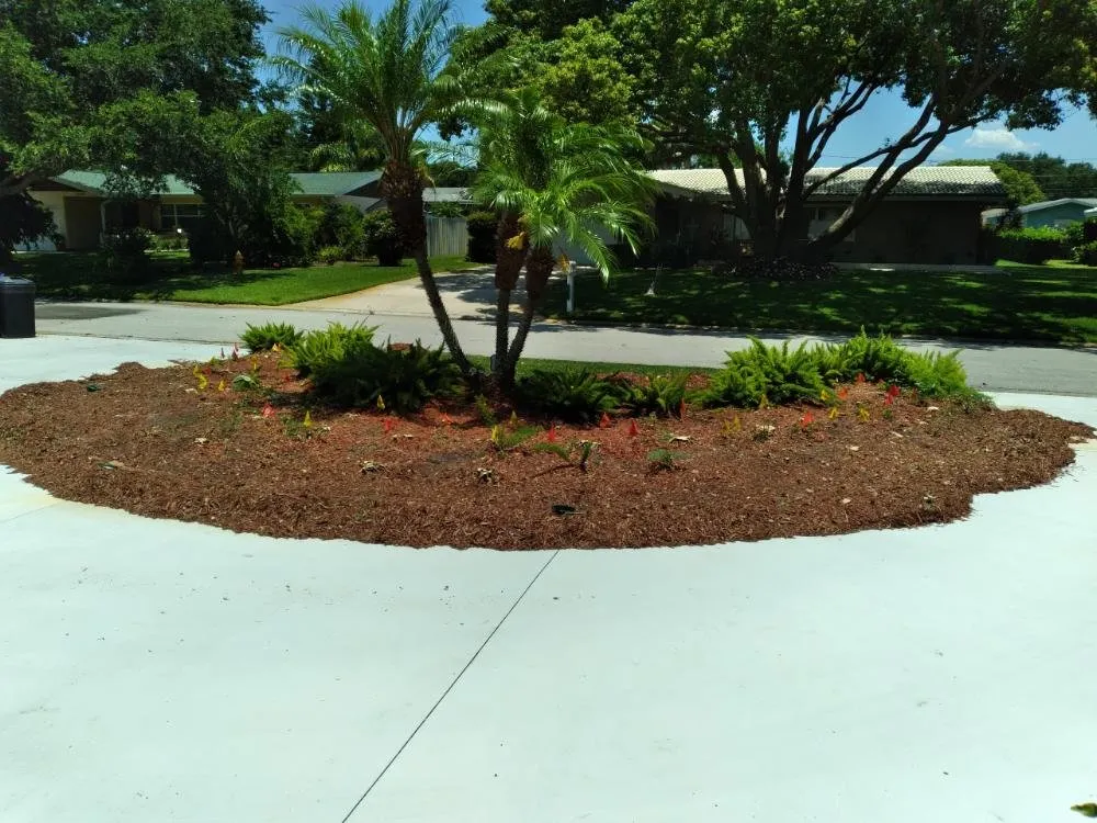 Expert landscape design near you in Clearwater, FL by Integrity Tree Care