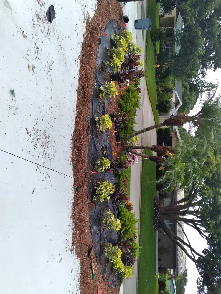 Expert landscape installation for residential properties in Clearwater, FL by Integrity Tree Care