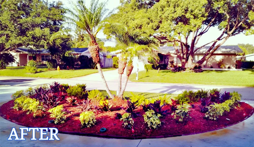 Affordable garden landscaping in Clearwater, FL by Integrity Tree Care