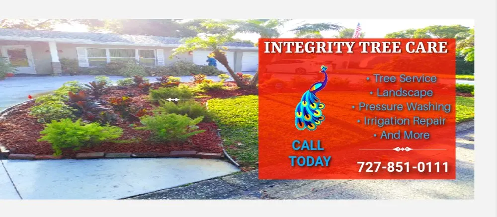 Local outdoor landscaping experts serving Clearwater, FL - Integrity Tree Care