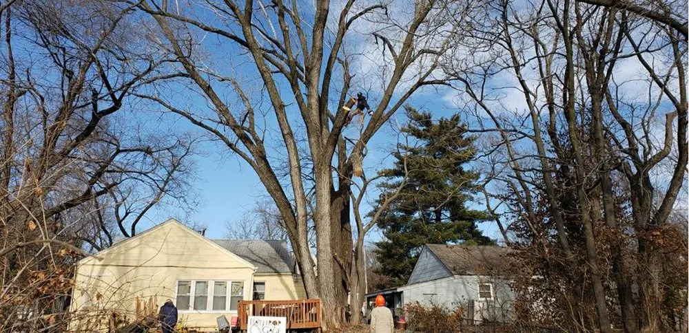Trusted landscape installation in Raymore, MO - Integrity Tree care