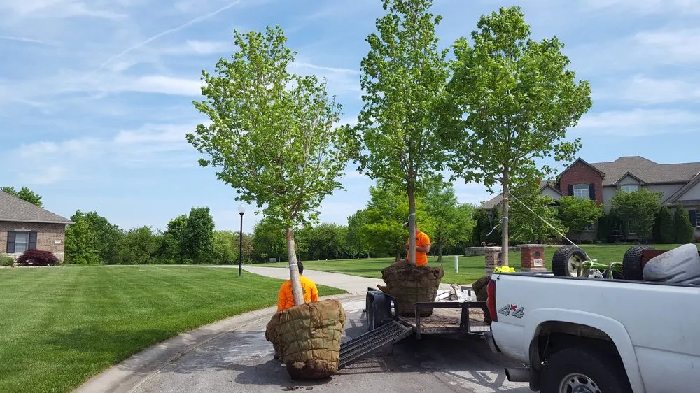 Professional landscape design in Raymore, MO by Integrity Tree care