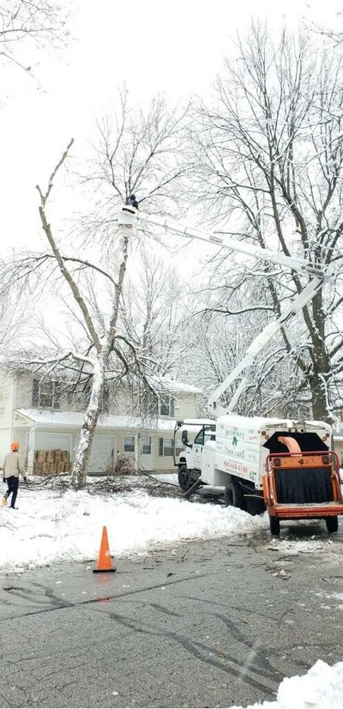 Trusted landscape installation for homes across Raymore, MO - Integrity Tree care