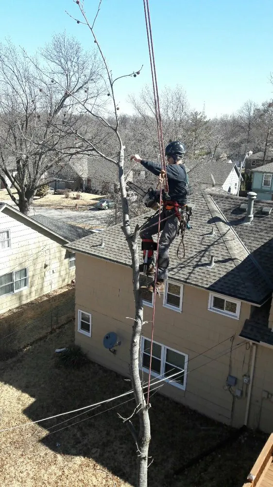 Trusted outdoor landscaping for year-round maintenance across Raymore, MO - Integrity Tree care