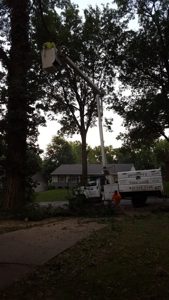 Trusted landscape installation in Raymore, MO - Integrity Tree care