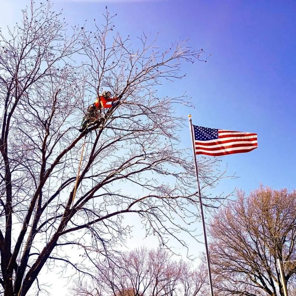 Local outdoor landscaping in Clearwater, KS by Integrity Tree Service