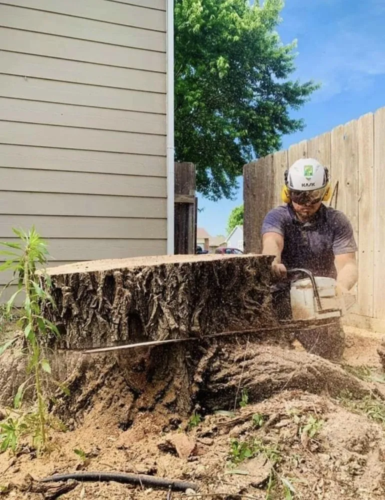 Reliable landscaping services in Clearwater, KS by Integrity Tree Service