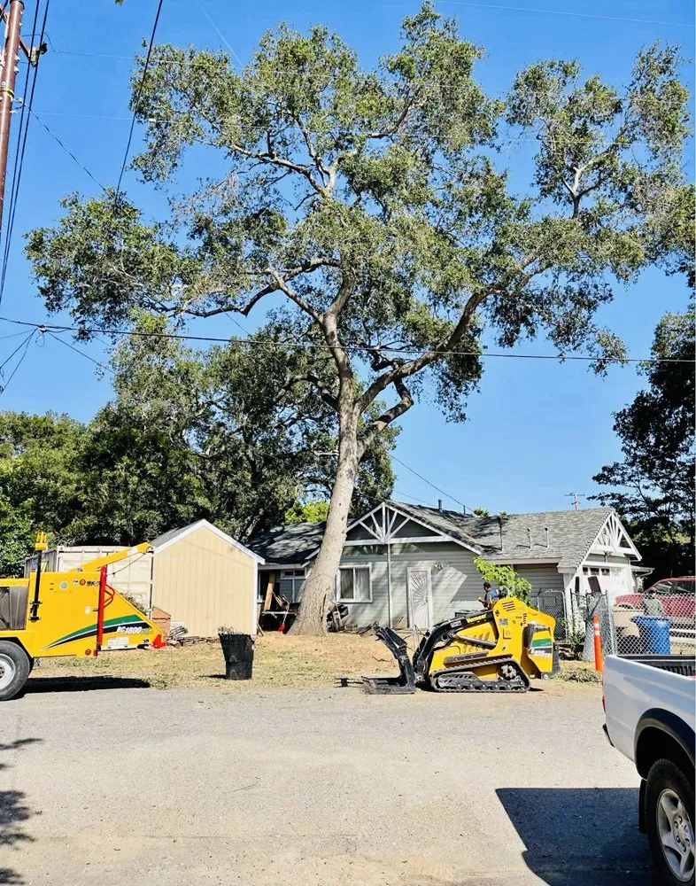 Top-rated landscaping services near you across Escondido, CA - Intel Landscape