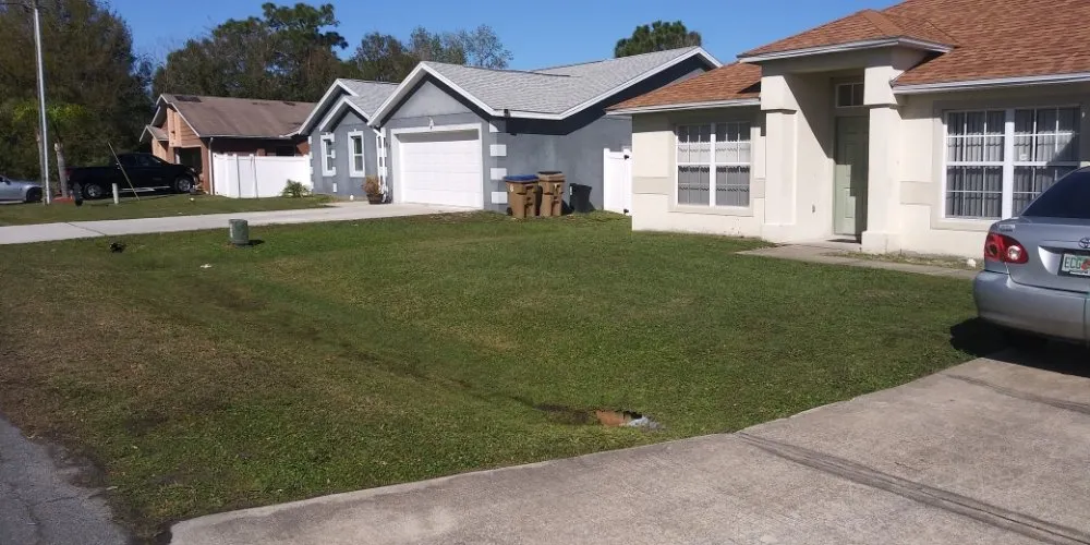 Affordable lawn care service in Kissimmee, FL by intel Mowing