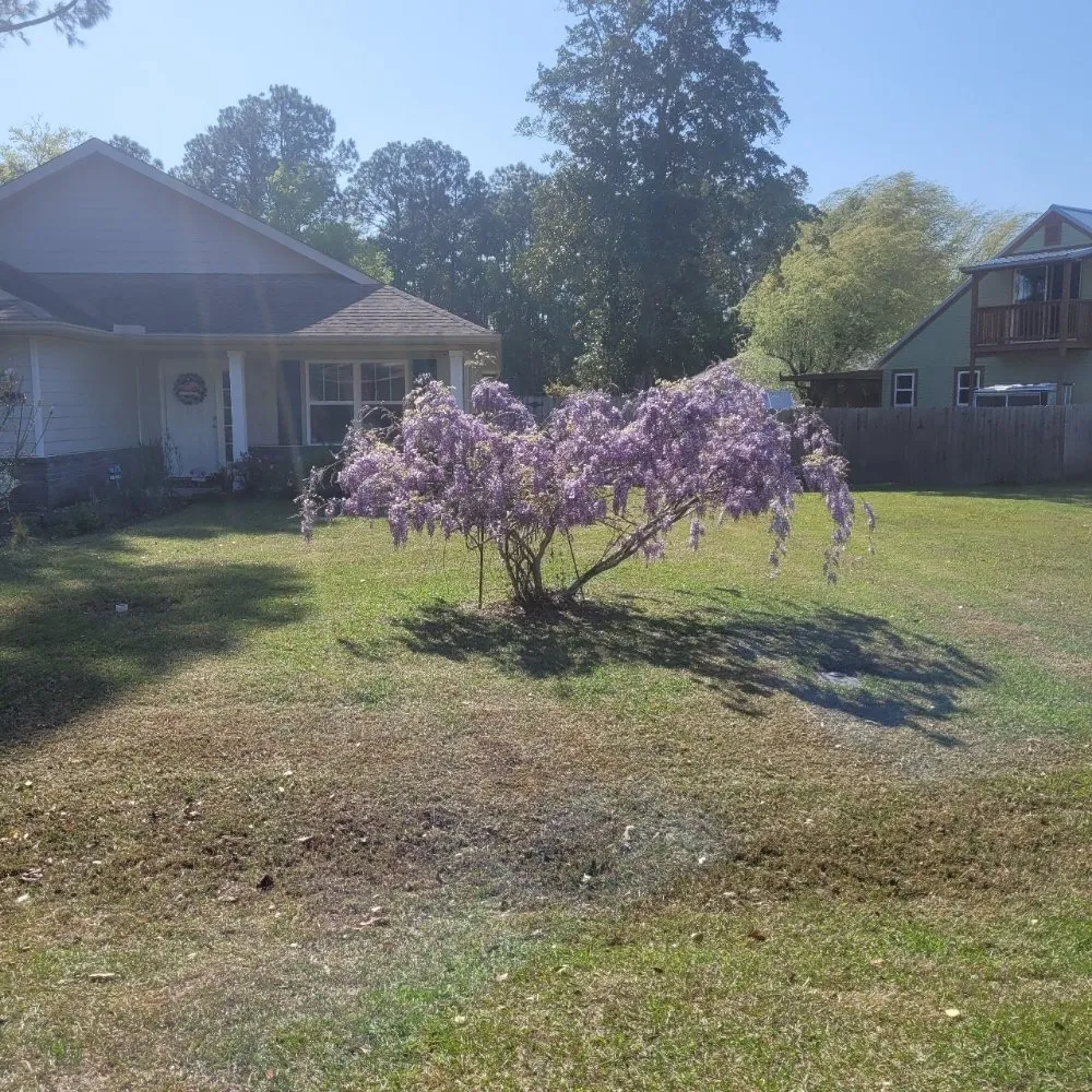 Professional yard maintenance in Orange Beach, AL - Intelligent Solutions Landscaping and Handyman