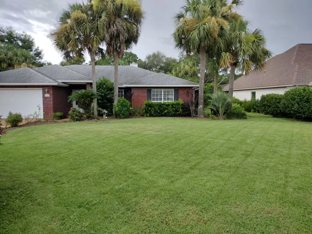 Local landscape installation experts serving Orange Beach, AL - Intelligent Solutions Landscaping and Handyman