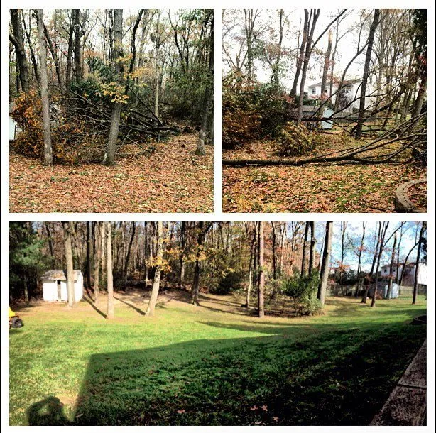 Affordable garden landscaping experts serving Monroe Twp, NJ - Intelliscape Landscaping and Lawn care
