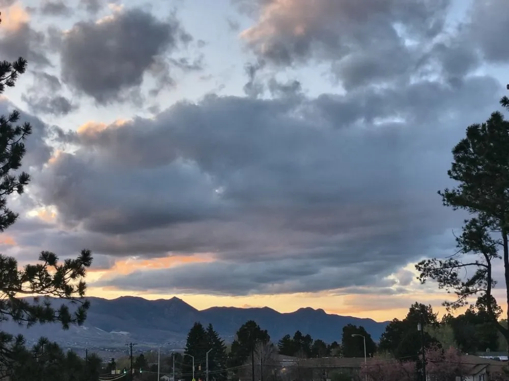 Custom garden landscaping in Colorado Springs, CO by Intentional Designs