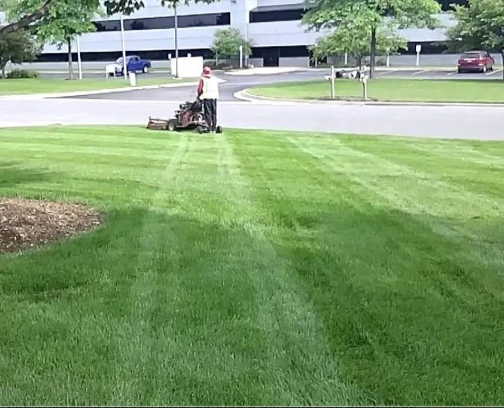 Affordable yard cleanup service for beautiful yards in Nashville-Davidson metropolitan government (balance), TN by Inter Cut