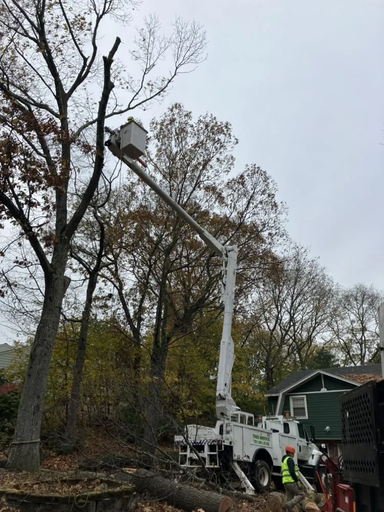 Professional lawn mowing service for residential properties in Lynn, MA by Inter Landscaping & Construction