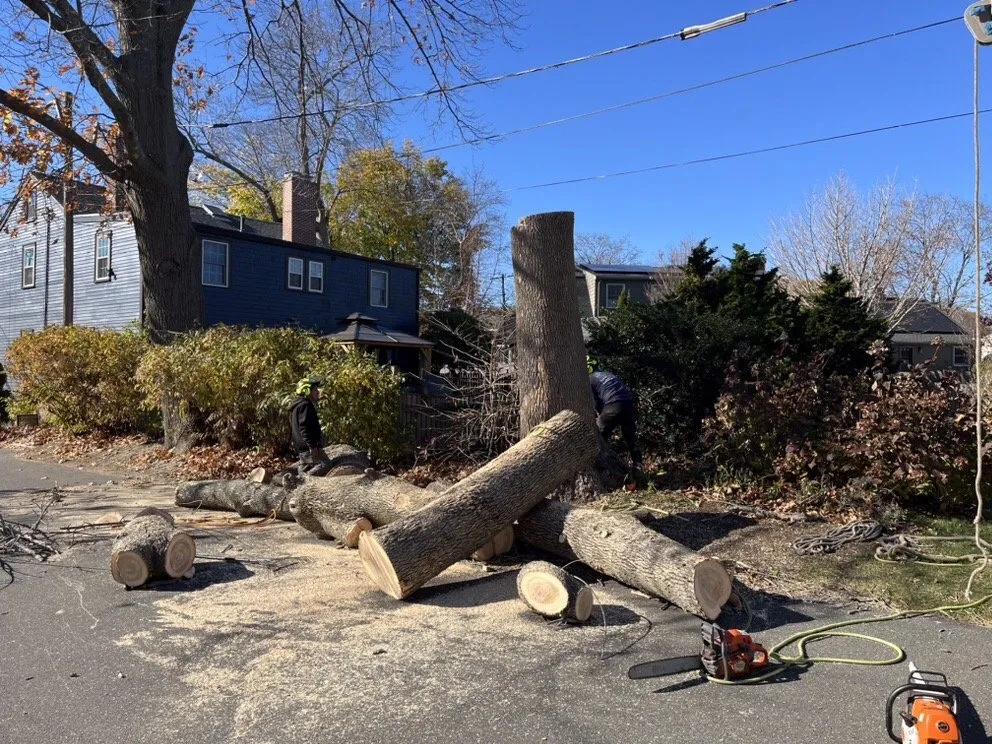 Professional yard cleanup service experts serving Lynn, MA - Inter Landscaping & Construction