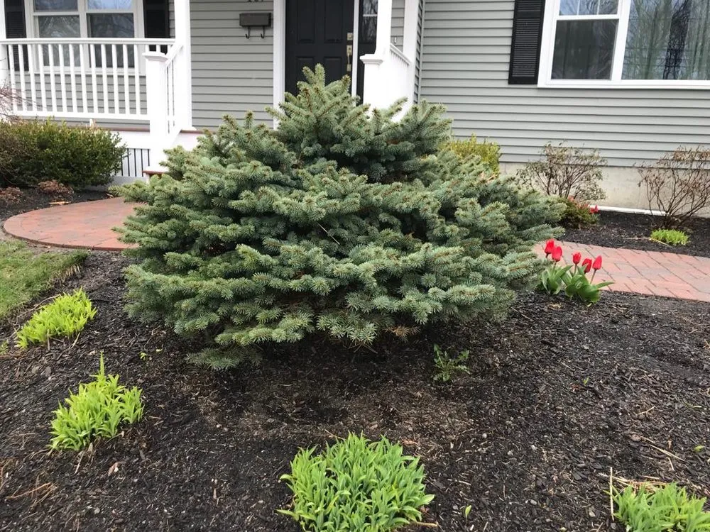 Custom landscape installation for beautiful yards across Lynn, MA - Inter Landscaping & Construction