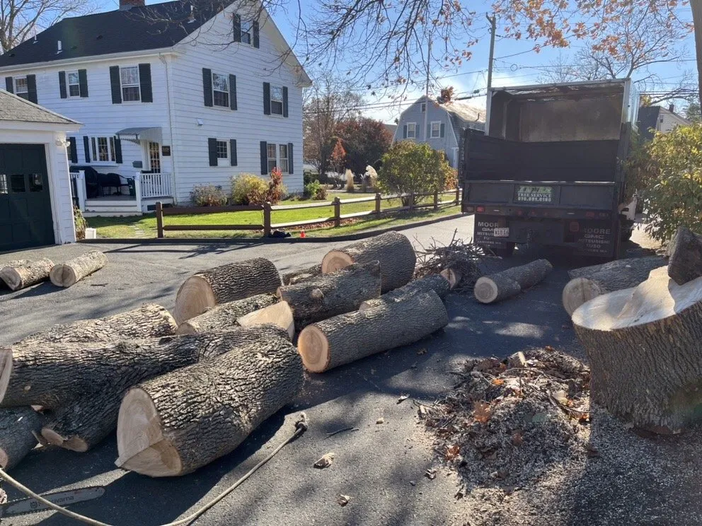 Custom yard cleanup service for outdoor upgrades in Lynn, MA by Inter Landscaping & Construction