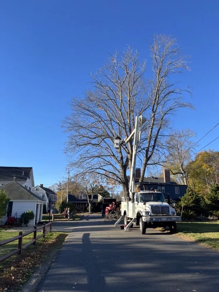 Expert landscaping services for outdoor upgrades in Lynn, MA by Inter Landscaping & Construction