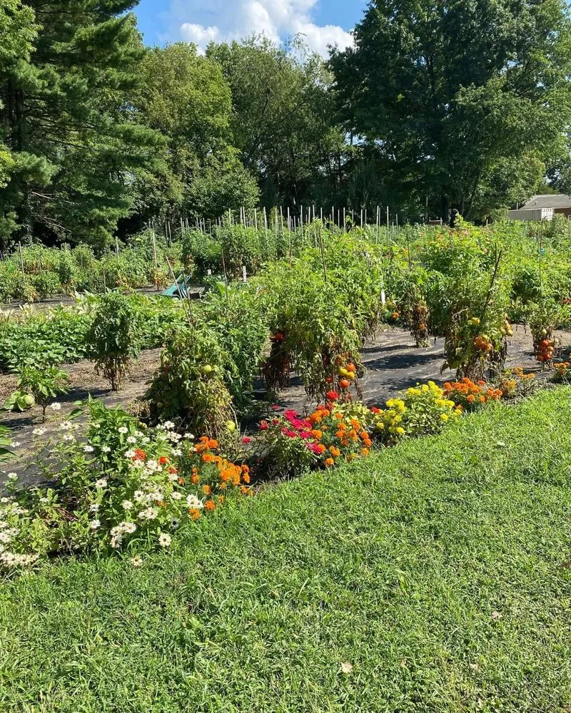 Top-rated landscape installation for residential properties across Cleveland, OH - Interagent Agility