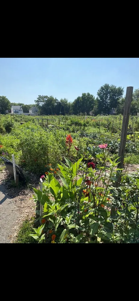 Professional yard maintenance experts serving Cleveland, OH - Interagent Agility