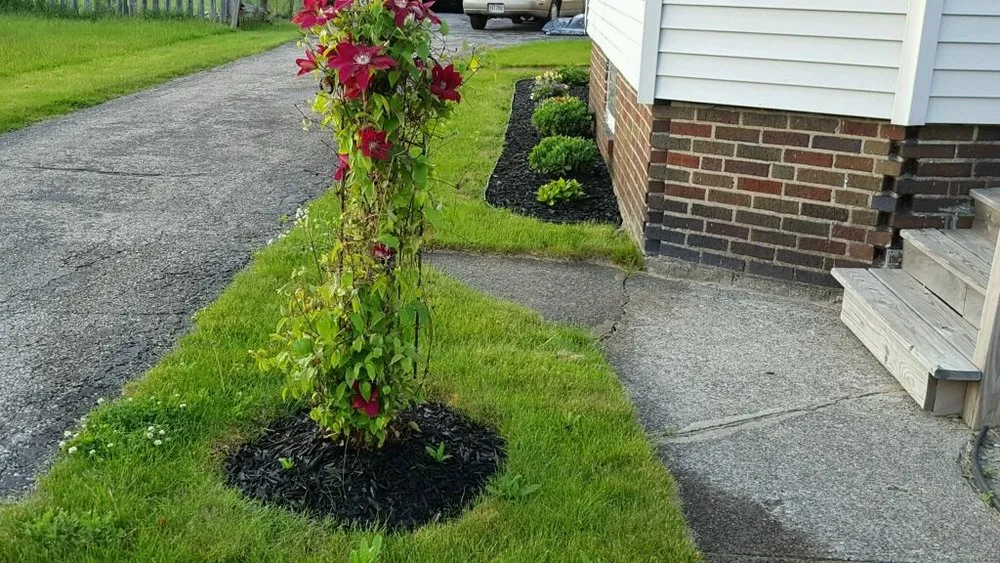 Top-rated lawn mowing service for homes across Cleveland, OH - Interagent Agility