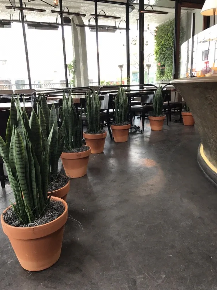 Top-rated residential landscaping experts serving San Marcos, CA - Interior & Exterior Environment Designs