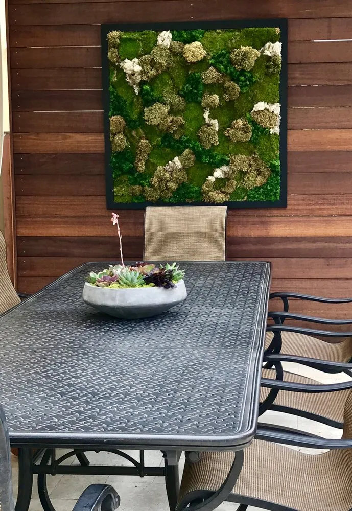 Local lawn care service experts serving San Marcos, CA - Interior & Exterior Environment Designs