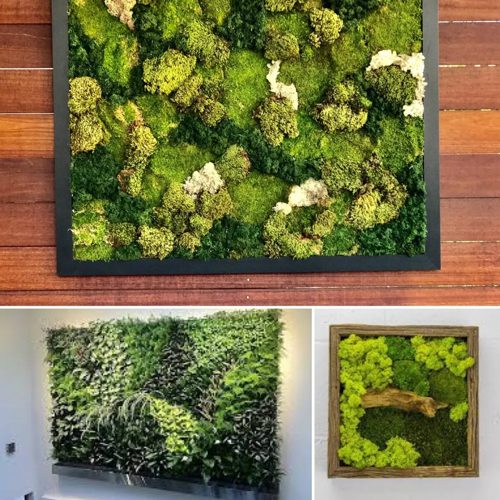 Affordable yard maintenance in San Marcos, CA by Interior & Exterior Environment Designs