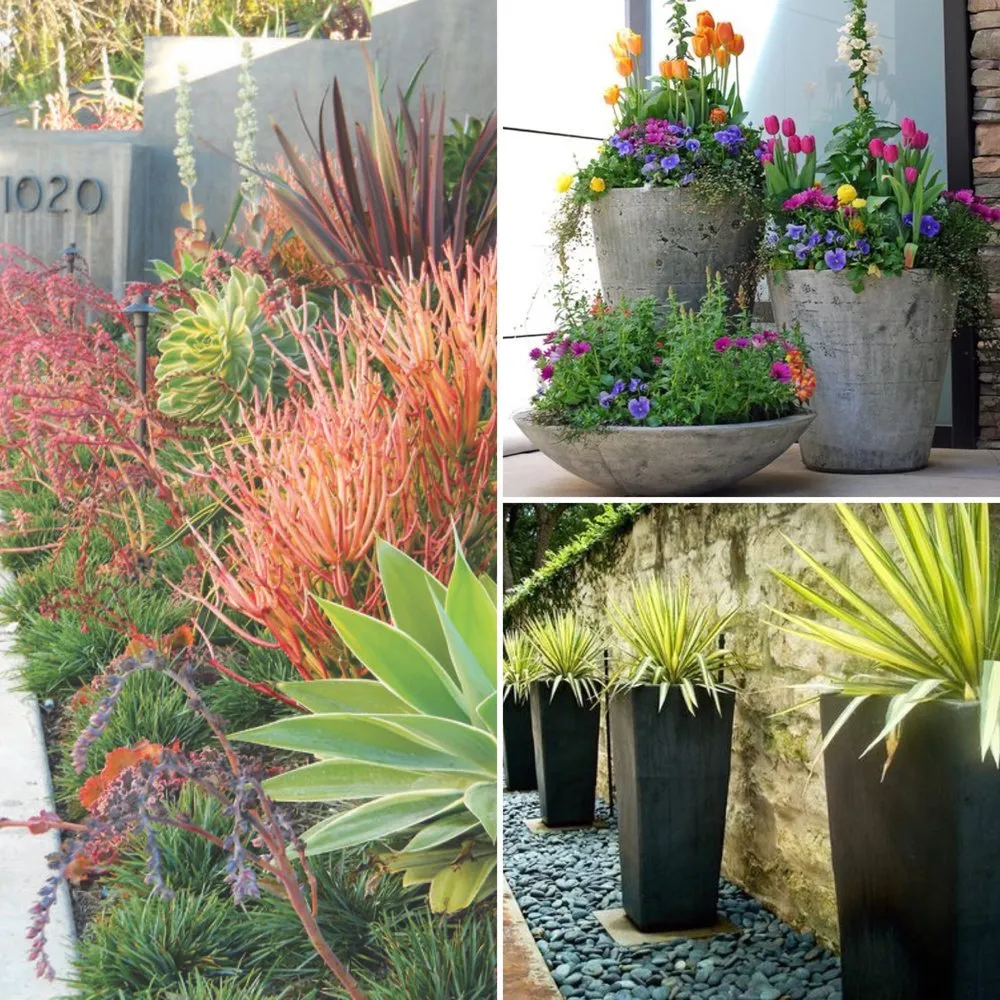 Trusted landscape installation in San Marcos, CA by Interior & Exterior Environment Designs