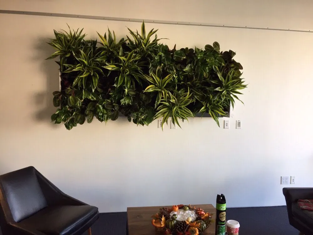 Trusted lawn care service in San Marcos, CA - Interior & Exterior Environment Designs