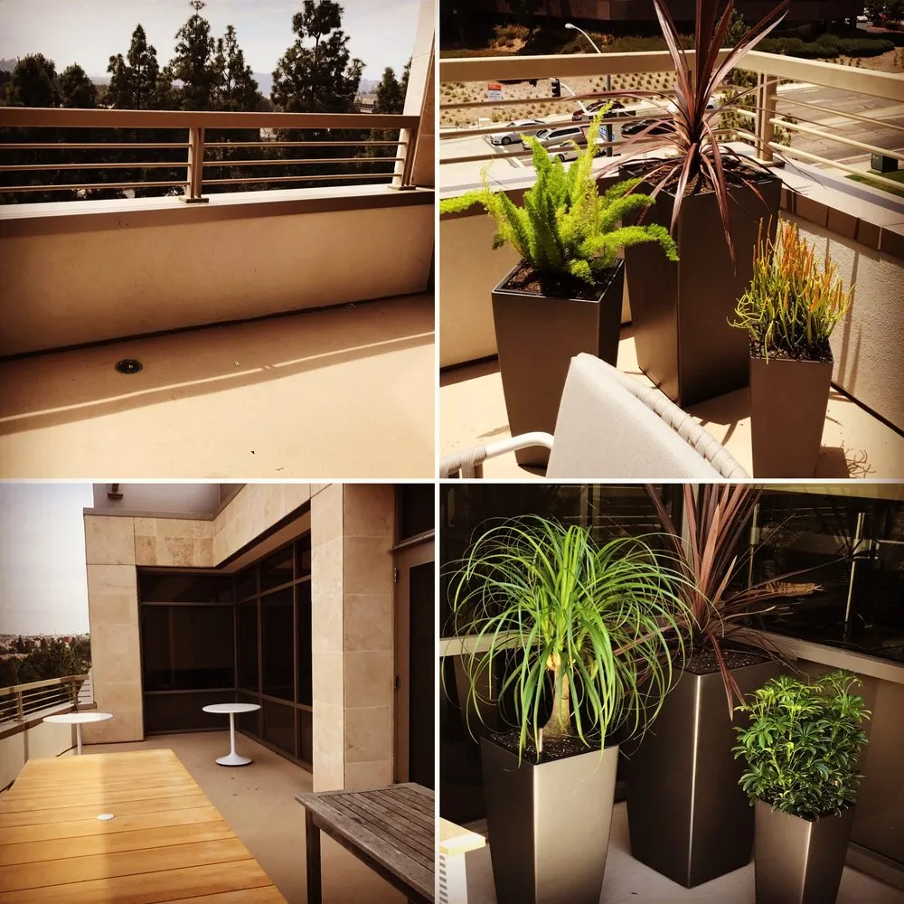 Top-rated residential landscaping for outdoor upgrades across San Marcos, CA - Interior & Exterior Environment Designs